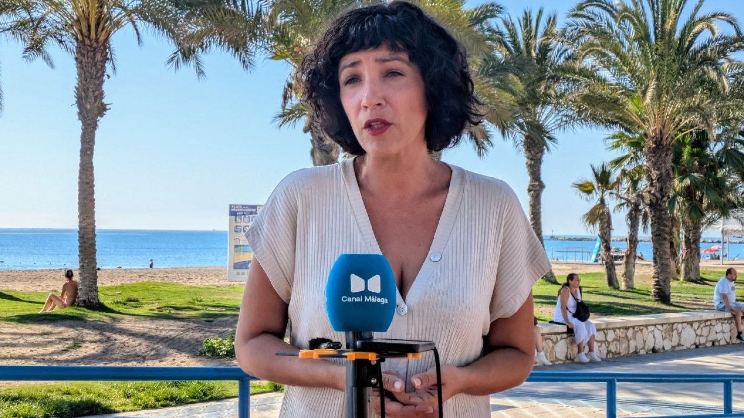 Morillas pide la retirada de las estatuas del Puerto y que se aclaren las irregularidades en su concesión