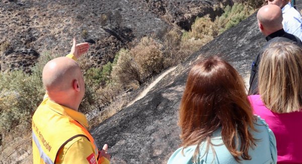 Crespo pide al Gobierno que declare el área quemada por el incendio de Granada como zona afectada por emergencia
