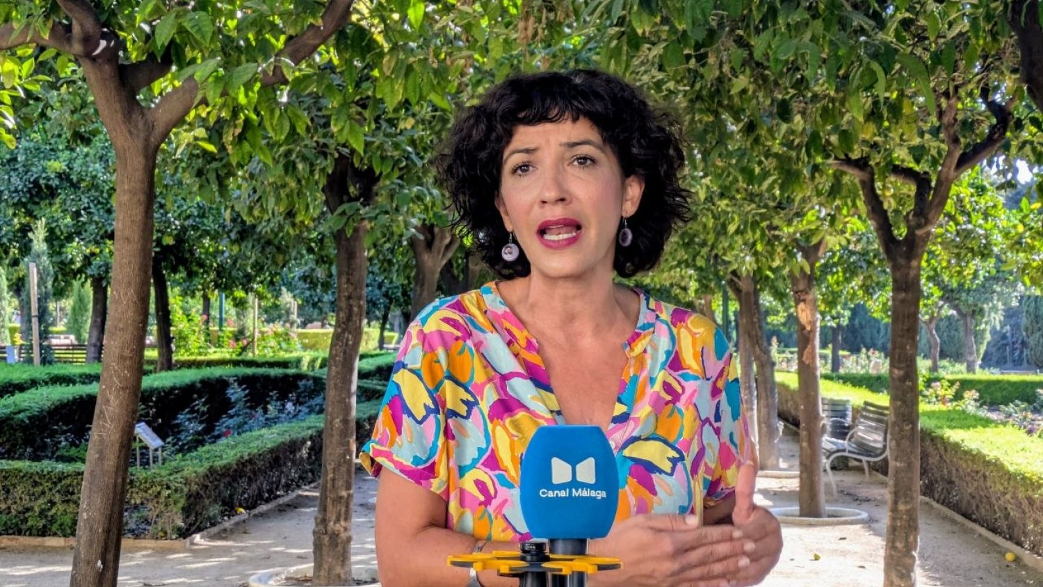 Morillas solicita un plan urgente de arbolado urbano y propone plantar 100.000 árboles en cinco años