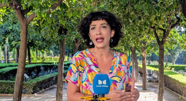 Morillas solicita un plan urgente de arbolado urbano y propone plantar 100.000 árboles en cinco años