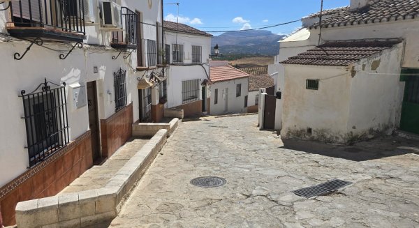 Ronda licita la remodelación integral de la calle Tomilla