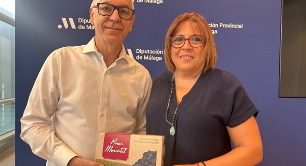 IU solicita un plan urgente para salvar la uva pasa ante pérdidas de hasta el 70% en la Axarquía 