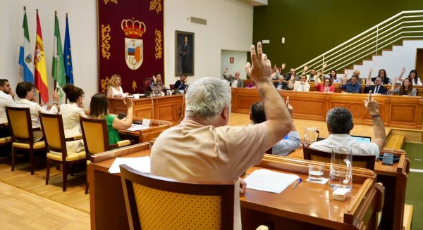 Torremolinos aprueba con el respaldo de todos los grupos la ordenanza sobre estética urbana