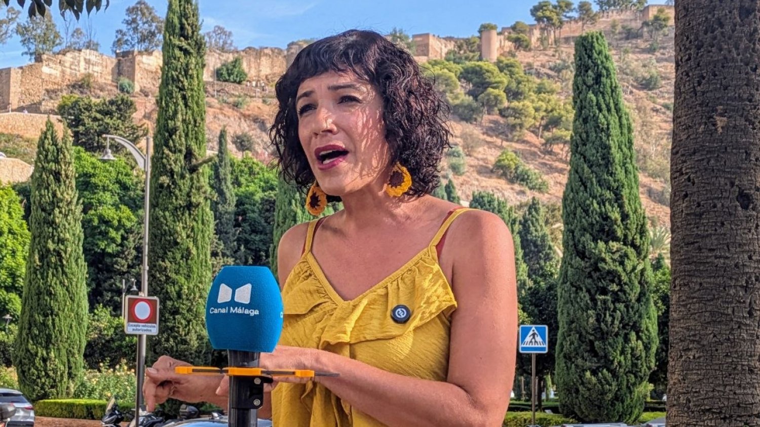 Toni Morillas exige al Ayuntamiento que suspenda el régimen sancionador de la Zona de Bajas Emisiones