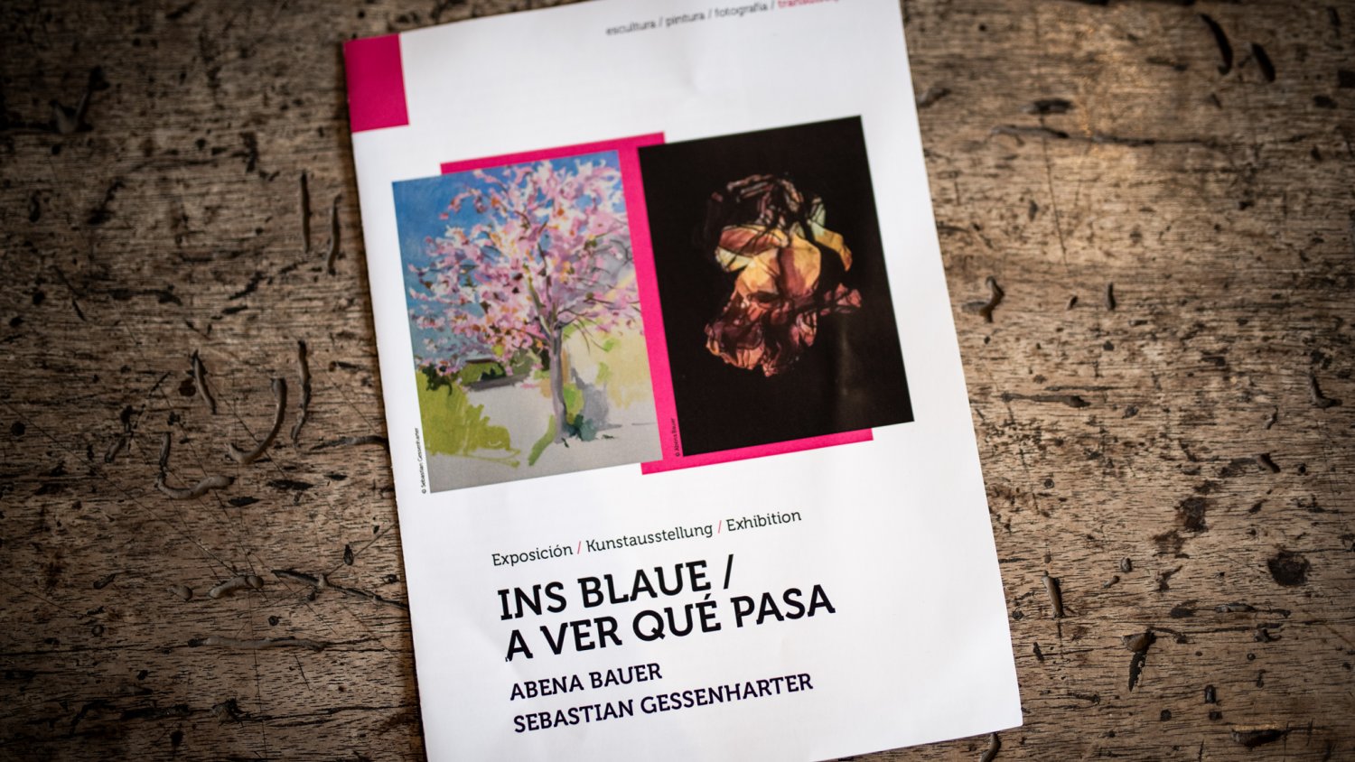 El Ayuntamiento organiza la exposición de los artistas Bauer y Gessenharter