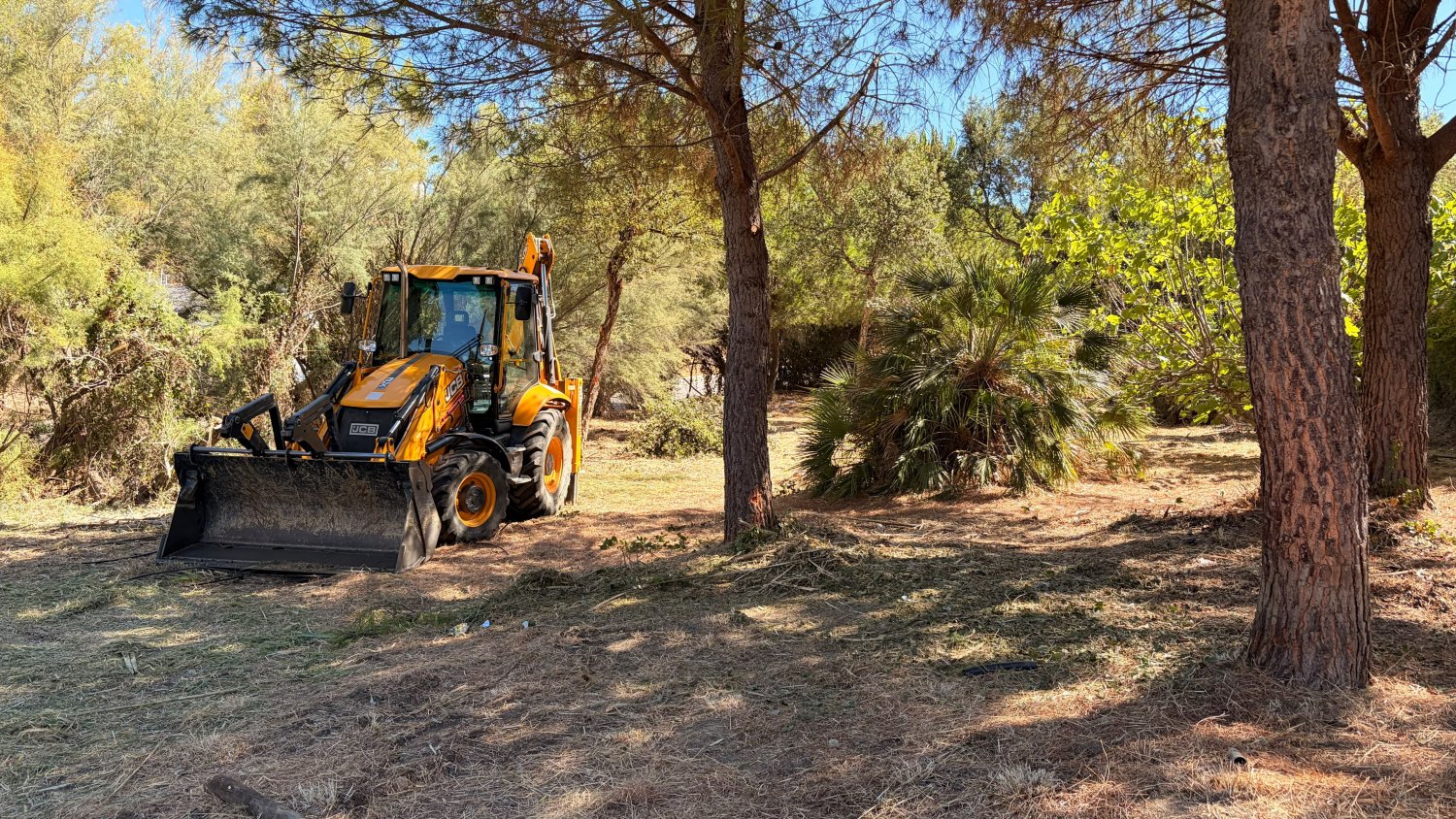 Estepona empieza una campaña de desbroce en más de 50 cauces y pasos de ríos