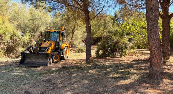 Estepona empieza una campaña de desbroce en más de 50 cauces y pasos de ríos
