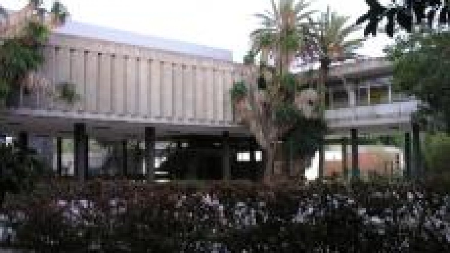 Un alumno de Málaga recibe un premio del Consejo Superior de Investigaciones Científicas por un relato