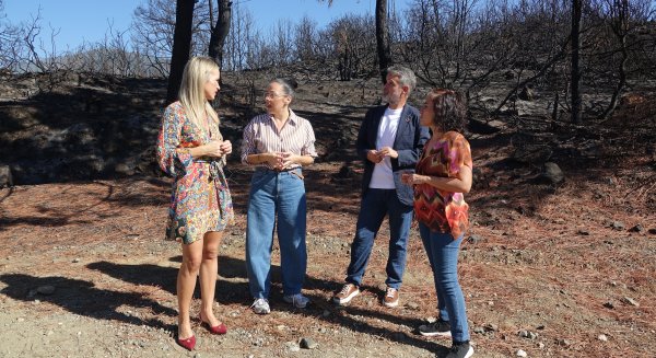 El PSOE exige a la Junta que aclare cuándo se construirá el nuevo centro educativo en Benahavís