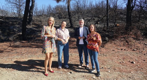El PSOE denuncia que la Junta todavía no haya construido el colegio en Benahavís