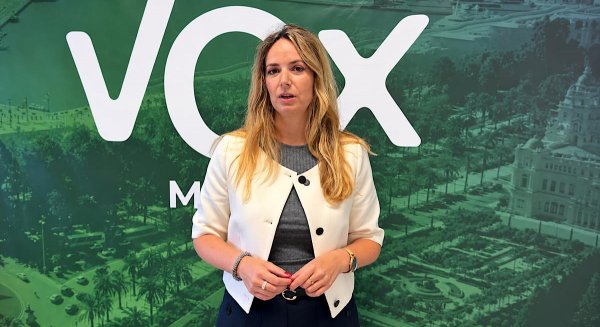 Vox reclama al PP los problemas de drenaje tras las lluvias en Pedregalejo después de unas obras de más de seis millones