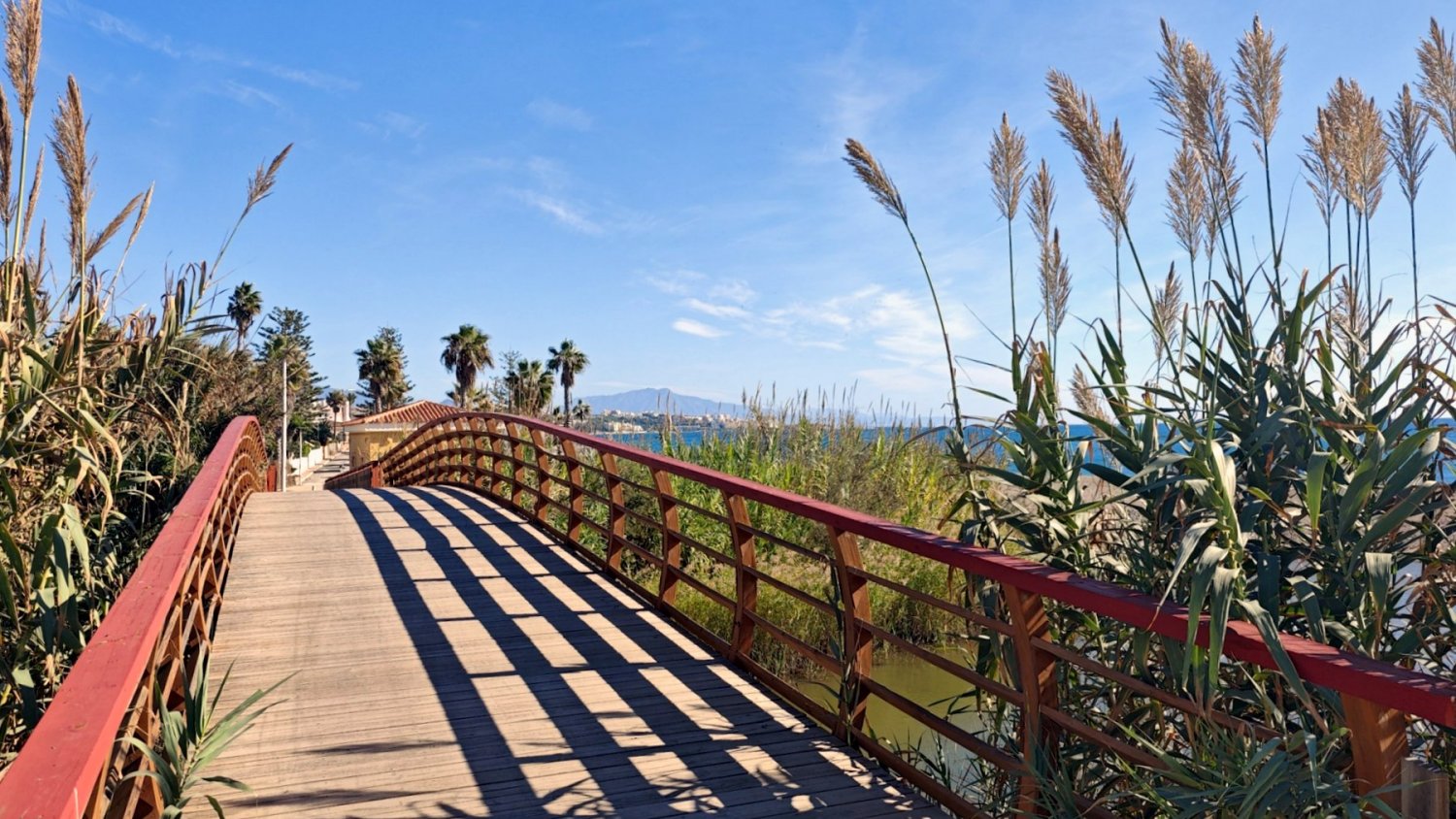 Estepona adjudica el suministro e instalación de 162 farolas a la empresa Roura Cevasa