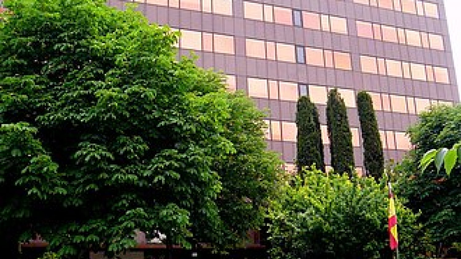 Málaga envía 117 solicitudes de indemnización por la dana al Consorcio de Compensación de Seguros