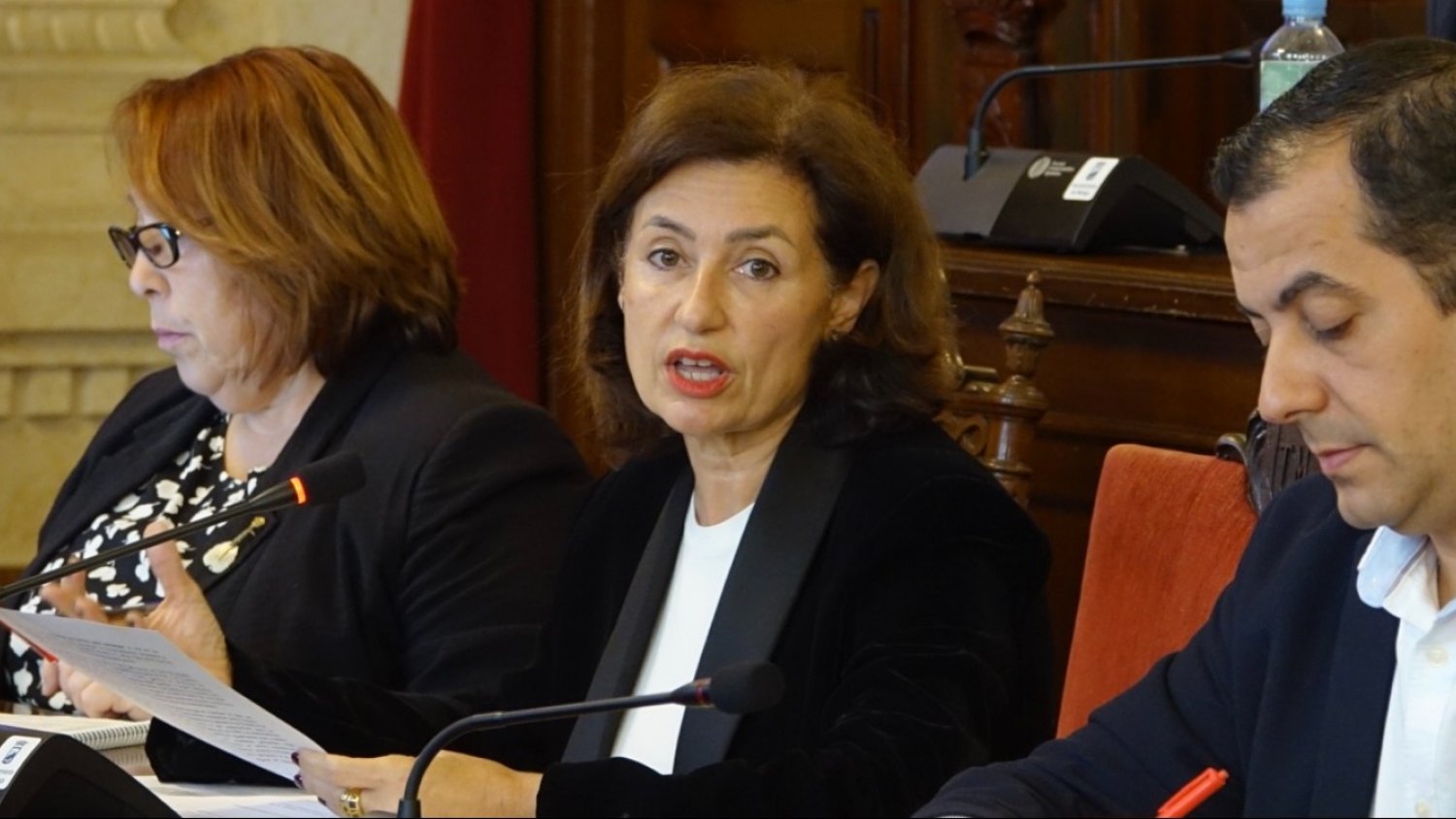 PSOE y Con Málaga piden blindar la asistencia pública a las víctimas de violencia machista