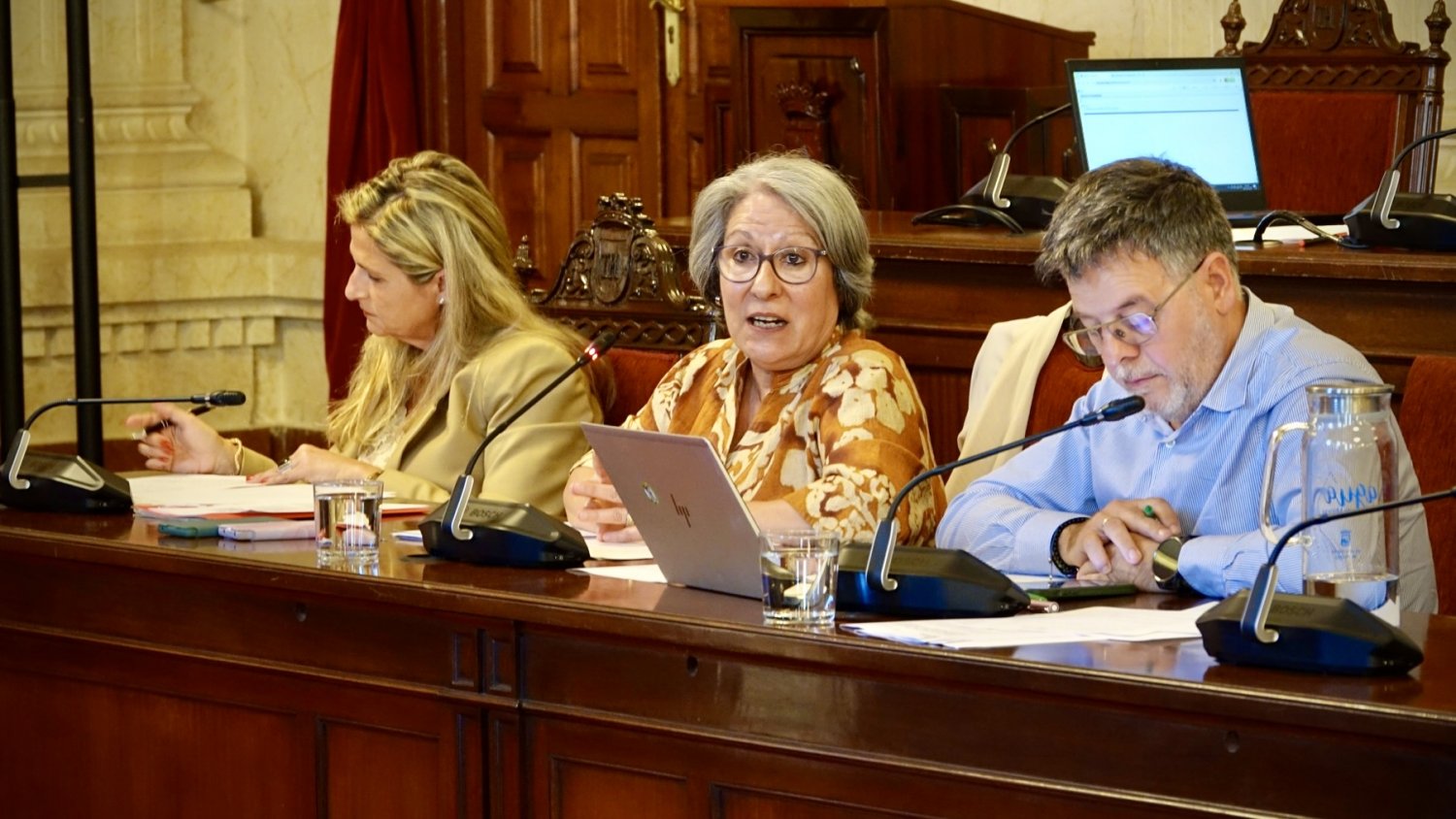El PSOE pide en el Pleno un plan de rescate para los comerciantes de Lagunillas 