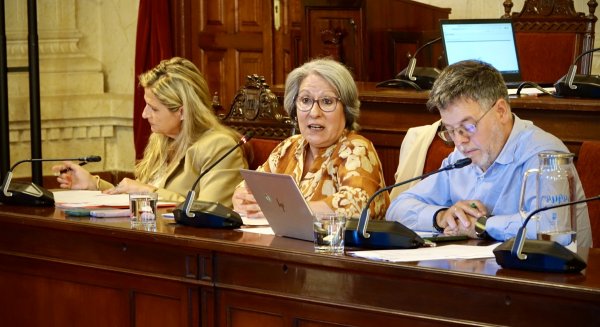 El PSOE pide en el Pleno un plan de rescate para los comerciantes de Lagunillas 