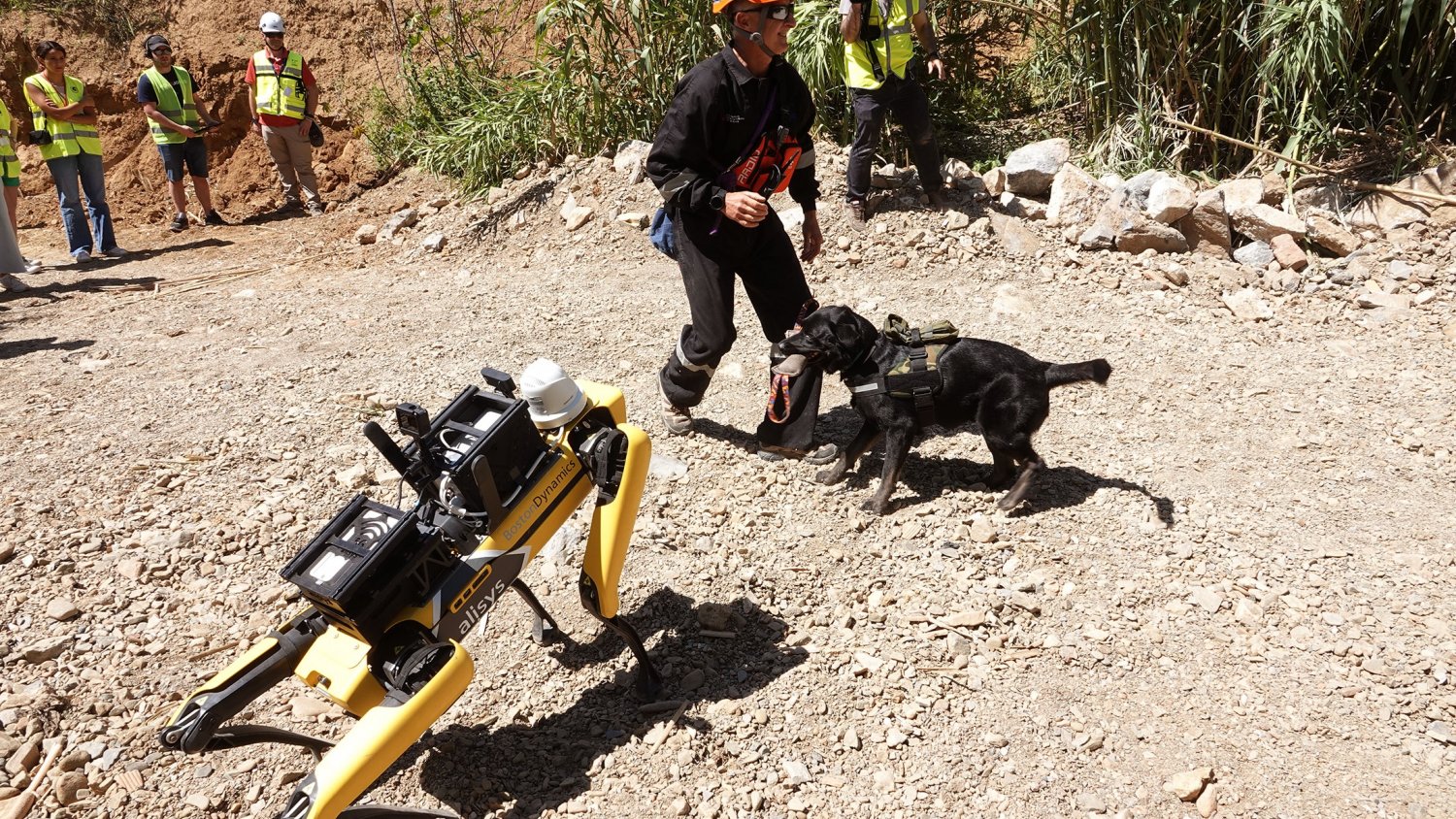 UMA.- La universidad diseña tres perros robots dedicados al rescate de personas