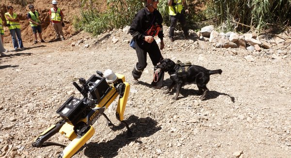 UMA.- La universidad diseña tres perros robots dedicados al rescate de personas