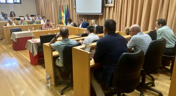 Vélez-Málaga reúne al Consejo Social para tratar asuntos municipales de interés general