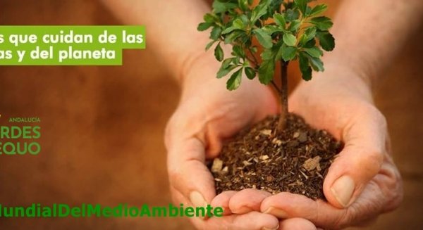Verdes EQUO pide a la ciudadanía que exija medidas y no promesas en el Día Mundial del Medio Ambiente