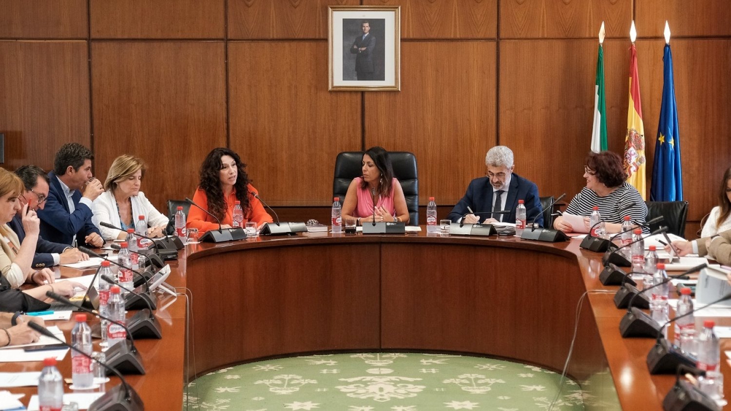La Diputación Permanente del Parlamento convalida el Decreto-Ley para regular la estancia de menores de Ucrania en Andalucía