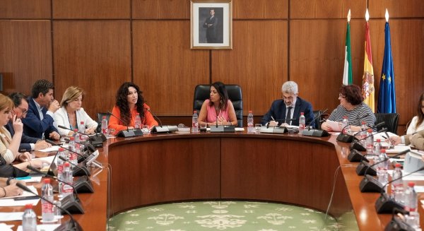 La Diputación Permanente del Parlamento convalida el Decreto-Ley para regular la estancia de menores de Ucrania en Andalucía