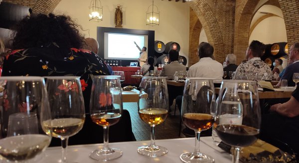 Extenda organiza durante Vinoble casi 700 reuniones entre importadores de diecinueve países