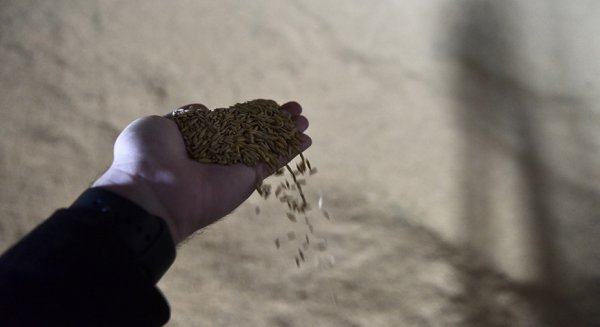 El BOJA publica la convocatoria para tres líneas de ayudas a la economía social