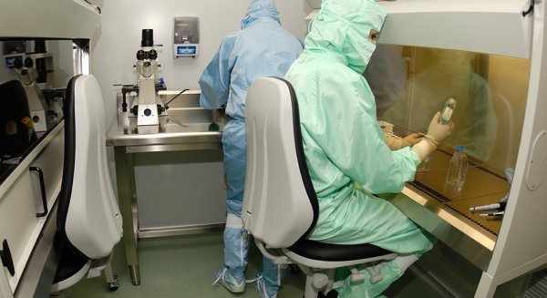 Andalucía trabaja en el uso de PCR para agilizar la confirmación de casos de viruela del mono