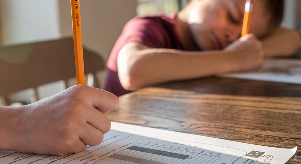 Abierto el plazo para solicitar el Programa de Refuerzo Educativo en periodo estival
