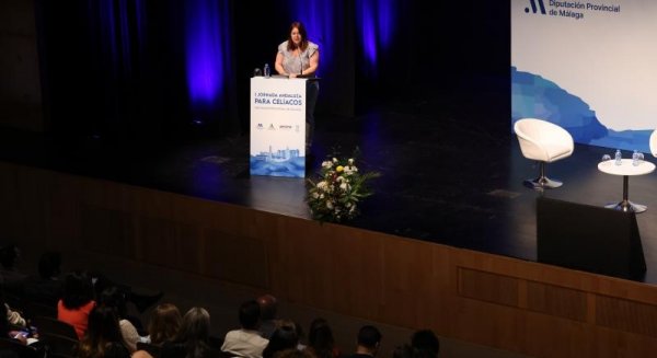 Diputación inicia la I Jornada Andaluza para Celíacos con expertos y afectados de toda la comunidad