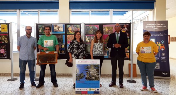 UMA.- La Facultad de Medicina acoge la exposición 'Las abejas y otros polinizadores'