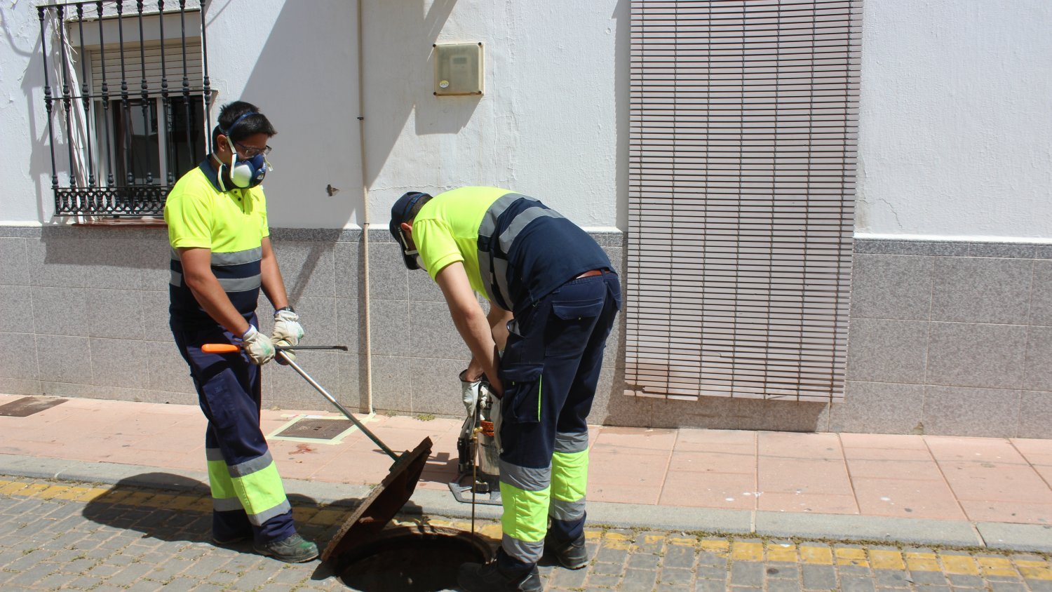 Estepona intensifica los trabajos de desinsectación en 406 kilómetros