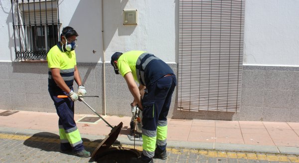 Estepona intensifica los trabajos de desinsectación en 406 kilómetros
