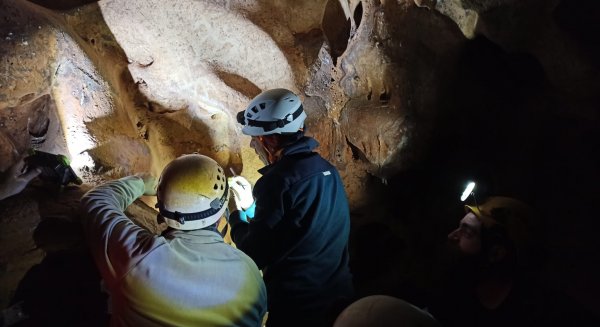 Un equipo internacional de investigación trabaja para refrendar las fechas del Arte Rupestre de la Cueva de la Victoria