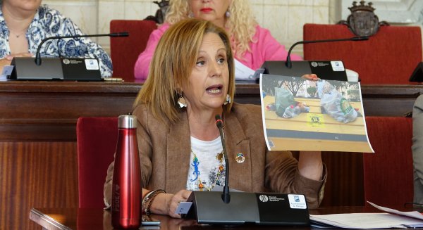 PSOE arranca al Ayuntamiento el compromiso del aumento de recursos para combatir las plagas