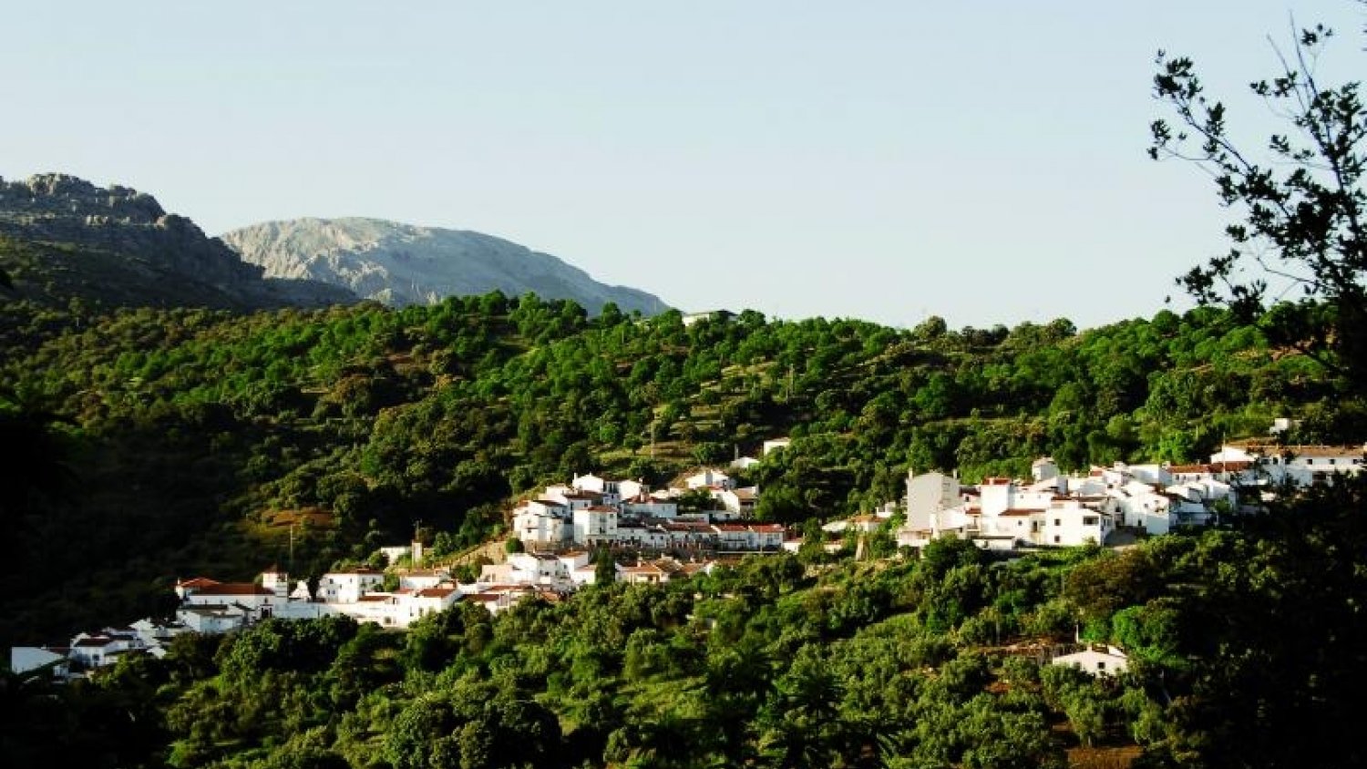 Diputación dedica un millón de euros en ayudas para los afectados por el incendio de Sierra Bermeja