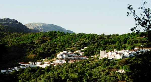 Diputación dedica un millón de euros en ayudas para los afectados por el incendio de Sierra Bermeja