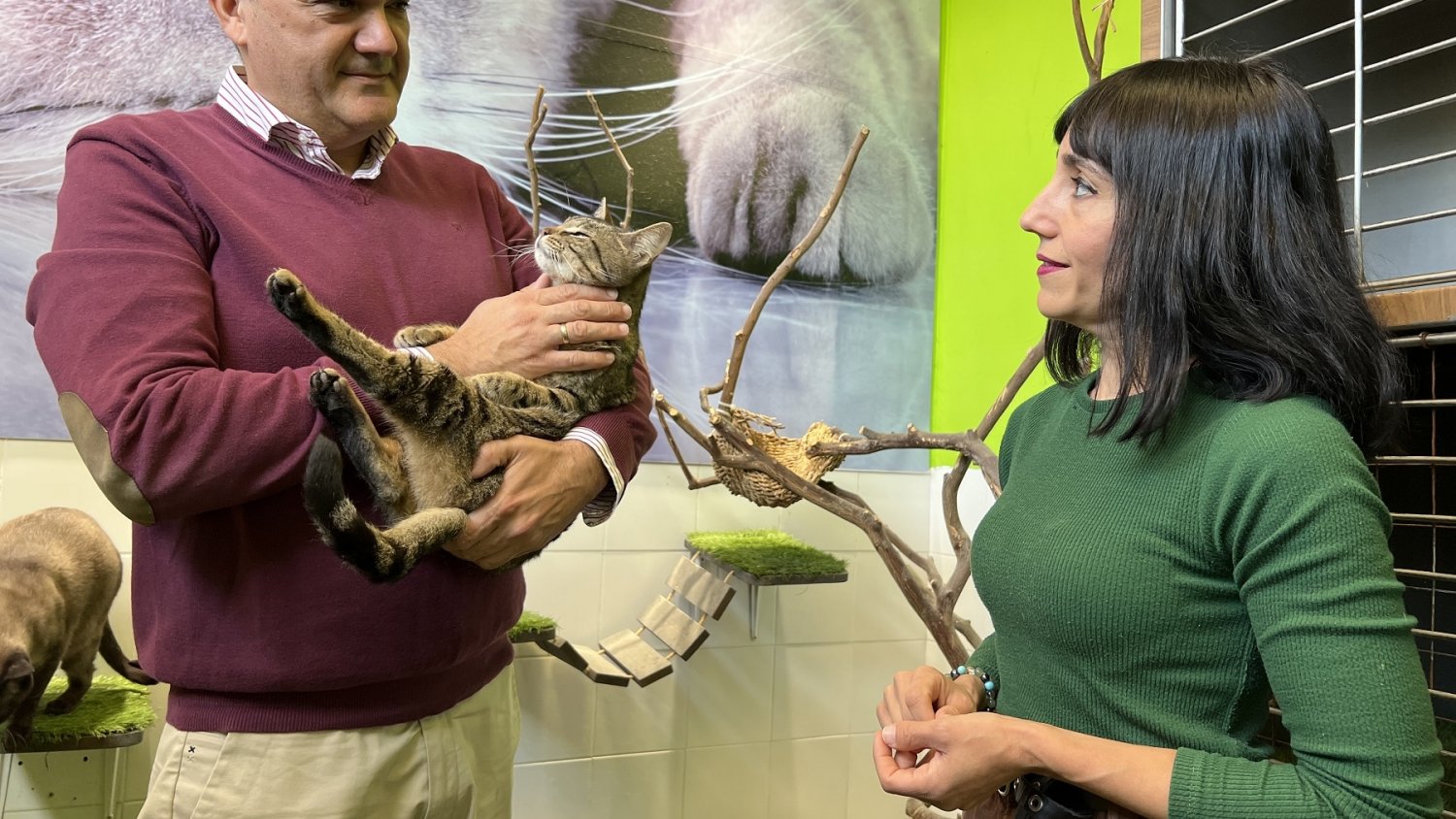 Fuengirola esteriliza gratuitamente a las mascotas en adopción del Parque Zoosanitario Municipal