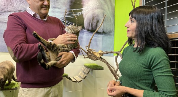 Fuengirola esteriliza gratuitamente a las mascotas en adopción del Parque Zoosanitario Municipal