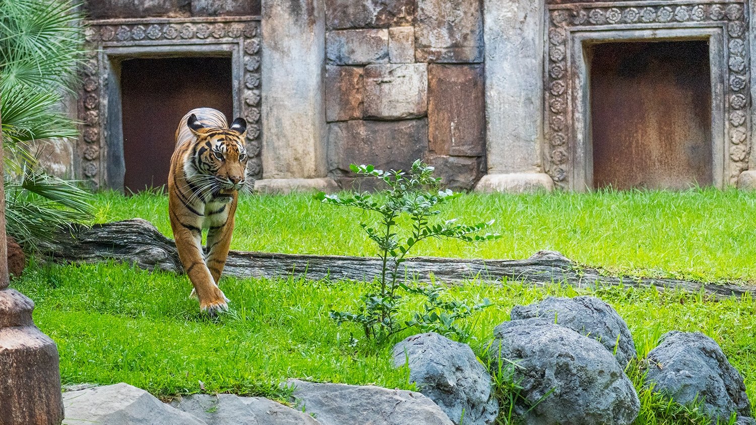 Bioparc Fuengirola implica a los visitantes en los programas de conservación animal