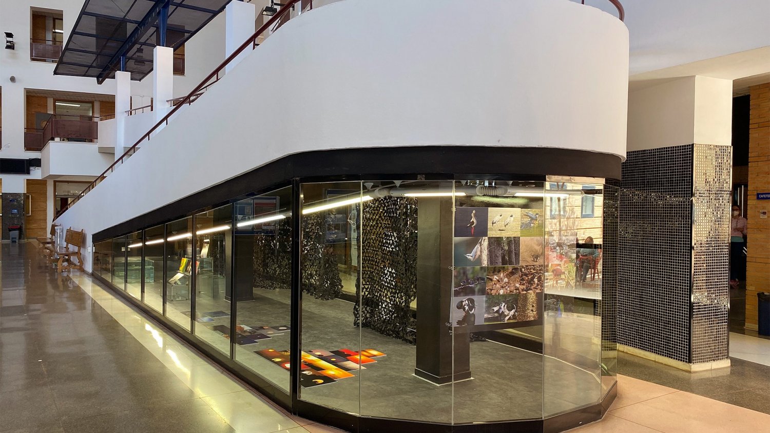 UMA.- ‘La Pecera Negra’ presenta 86 obras del artista Jaime D. García