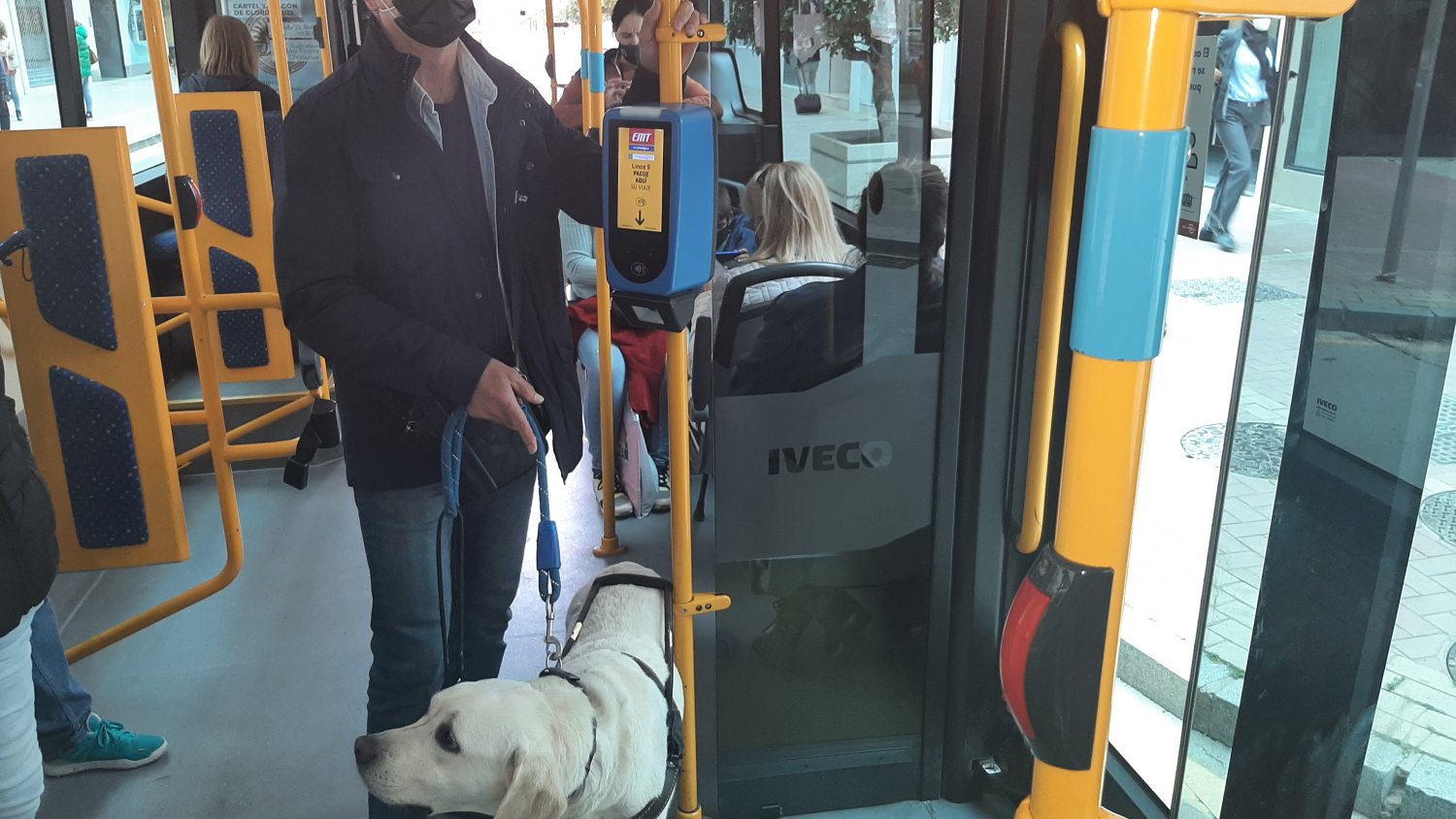 La ONCE reclama el derecho de 28 perros guías para acceder al transporte público