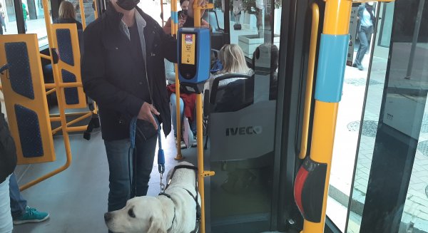 La ONCE reclama el derecho de 28 perros guías para acceder al transporte público
