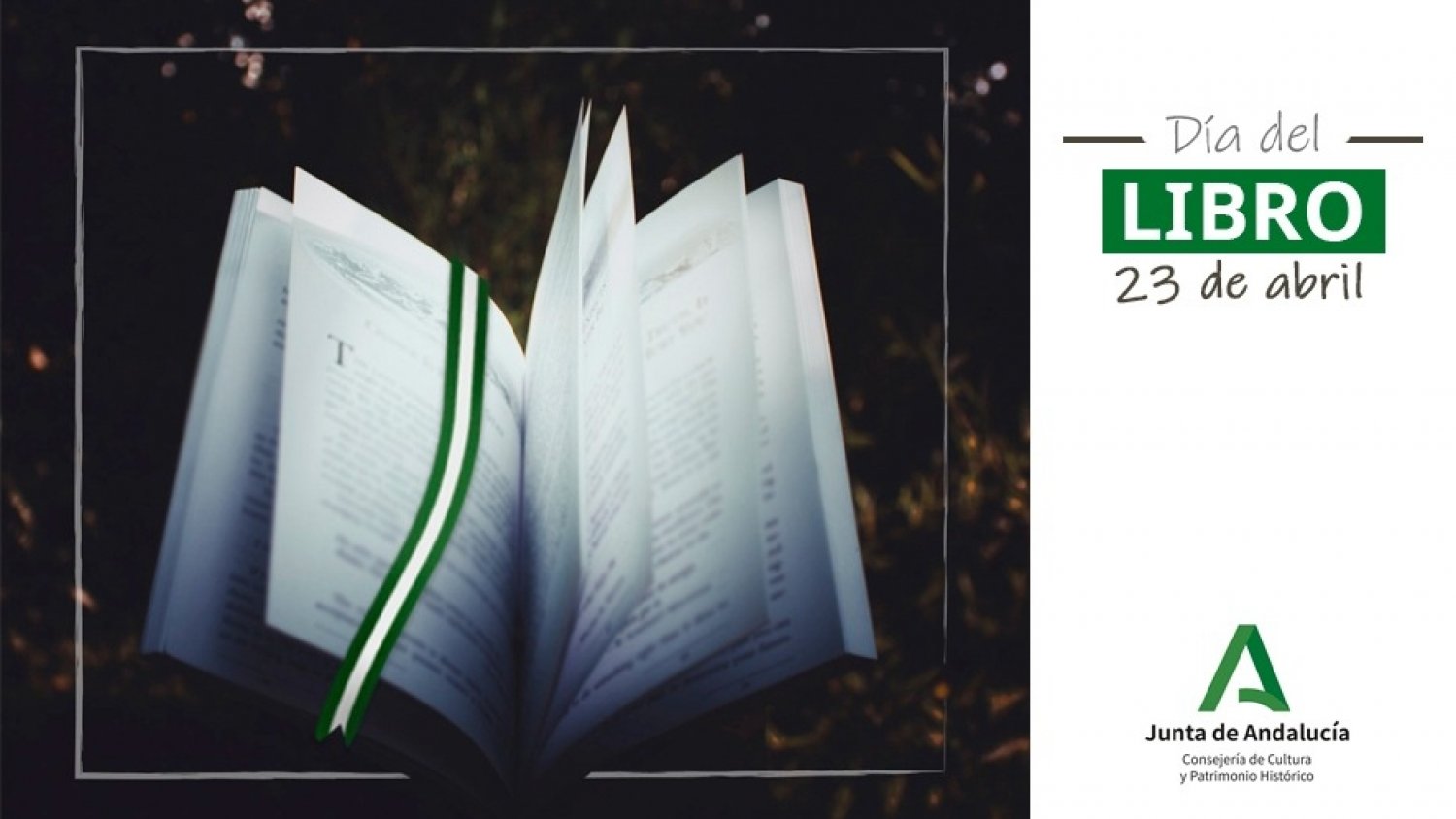 Lecturas, títeres y actividades lúdicas para celebrar el Día del Libro en Málaga