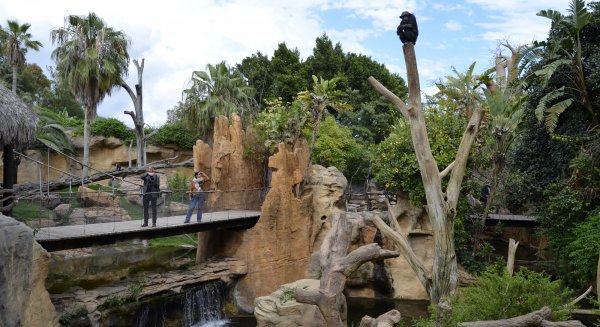 Bioparc Fuengriola y Aquamijas ofrecen una entrada combinada a ambos parques