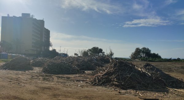 PSOE pide al gobierno municipal más celeridad en los trabajos de adecuación de sus playas