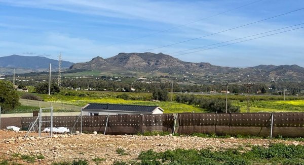 La Consejería de Fomento actúa contra viviendas irregulares en suelo rústico en Cártama