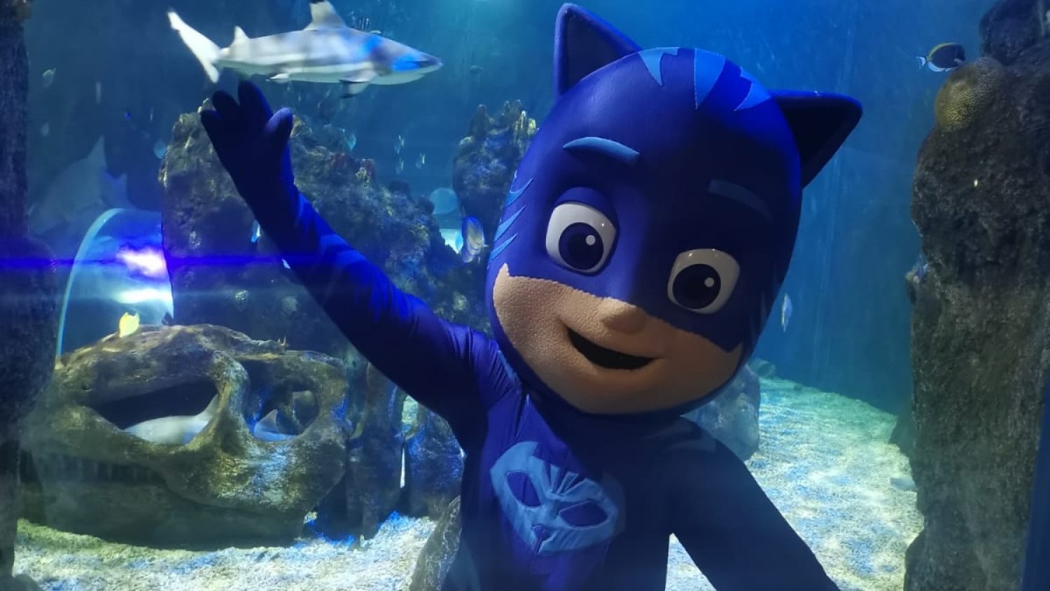 Sea Life Benalmádena se une a 'PJ Masks' para descubrir los secretos del mundo marino