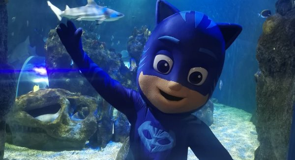 Sea Life Benalmádena se une a 'PJ Masks' para descubrir los secretos del mundo marino